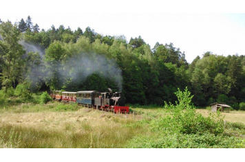 Train touristique d'Abreschviller suivant l'ancien chemin de fer forestier dans la Moselle, Grand Est, ancienne région Lorraine en France ©Niko67000